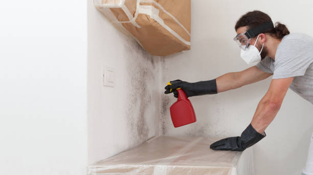 Professional Commercial Mold Remediation technician working in Oakland Mills, PA